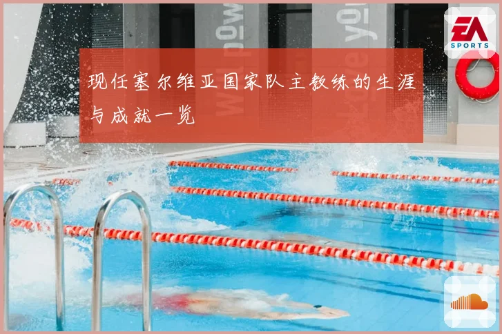 现任塞尔维亚国家队主教练的生涯与成就一览