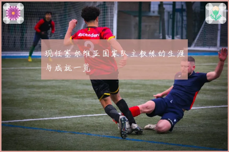 现任塞尔维亚国家队主教练的生涯与成就一览